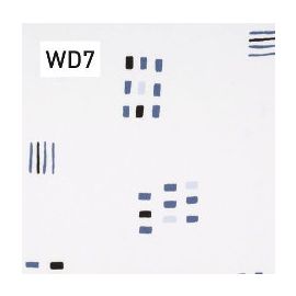 WD11